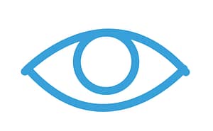 Vision